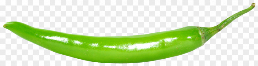Green Chili Pepper Serrano Bell Cayenne PNG