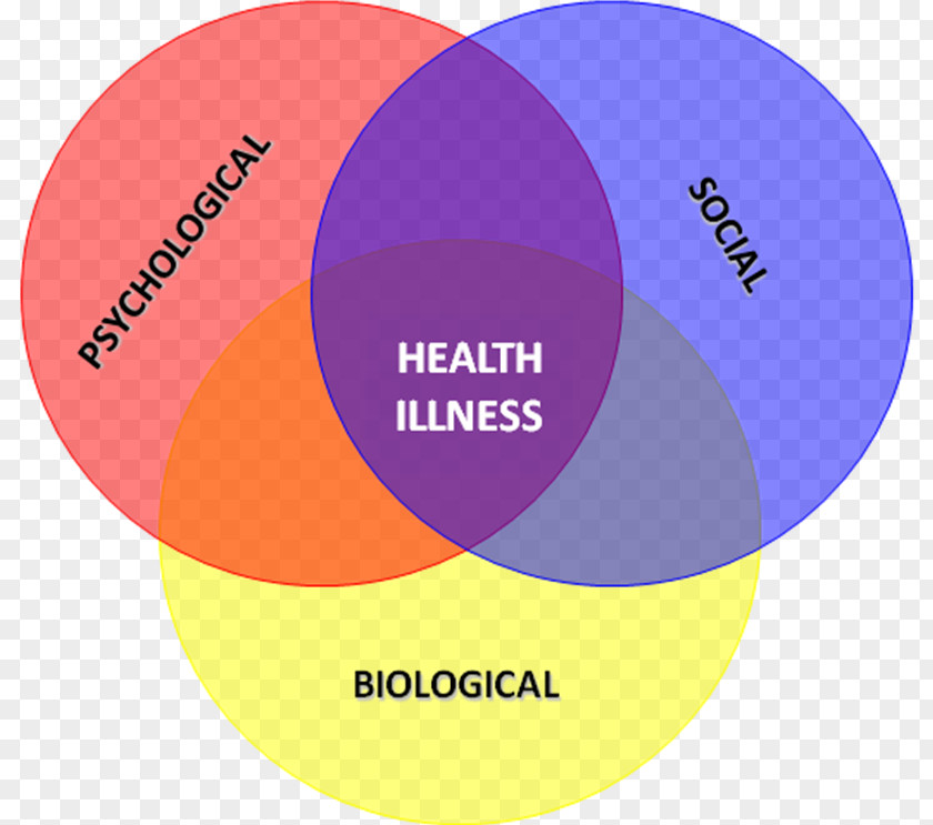 Health Biopsychosocial Model Psychology Biomedical PNG