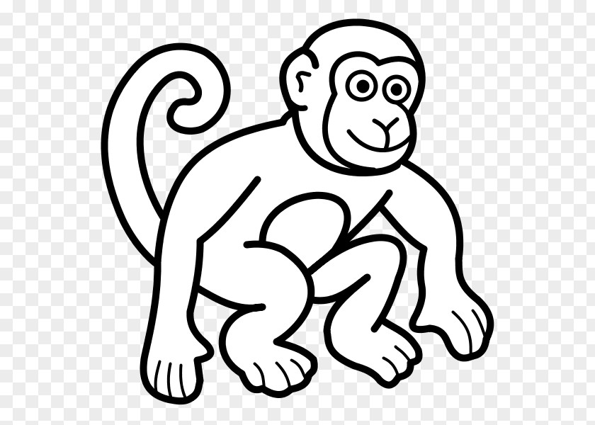 Monkey Coloring Book Drawing Child PNG