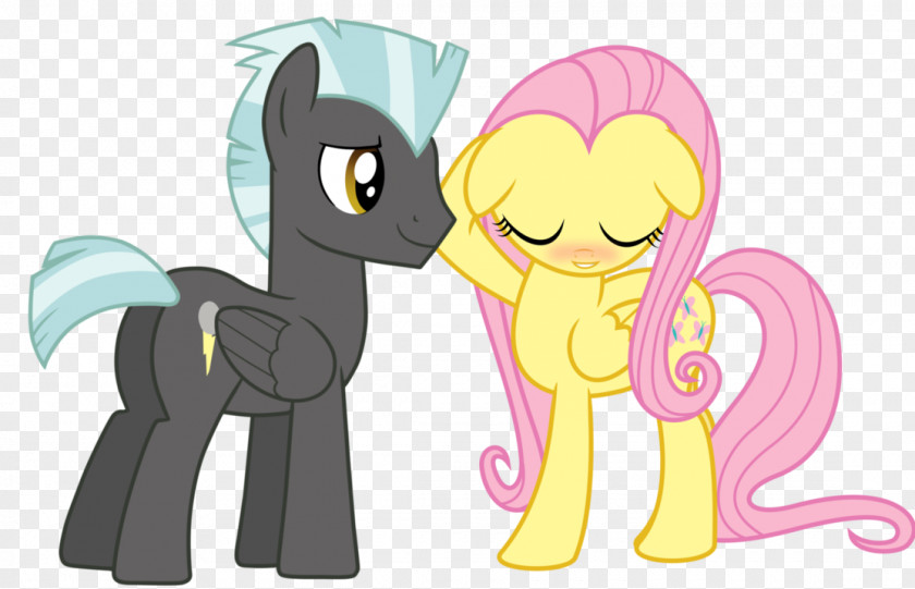 My Little Pony Fluttershy Rainbow Dash Rarity Thunderlane PNG