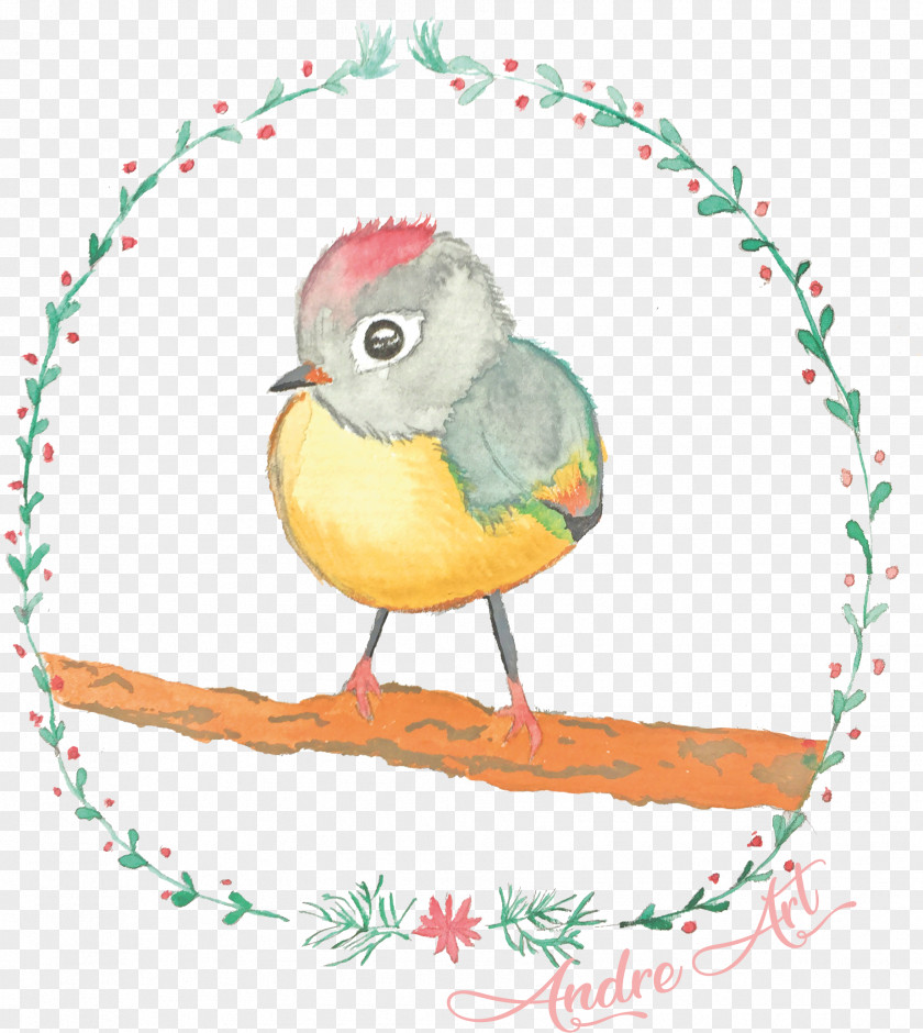 Parrot Beak Bird PNG