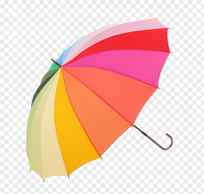 Umbrella Rain Gear Raincoat PNG