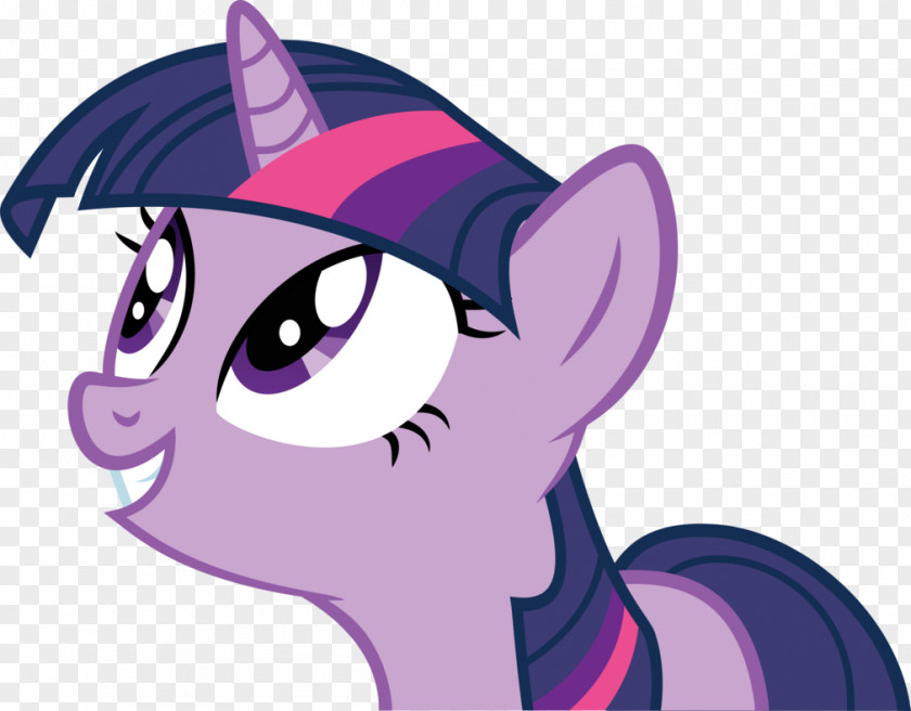 Horse Pony Twilight Sparkle Fluttershy Pinkie Pie PNG
