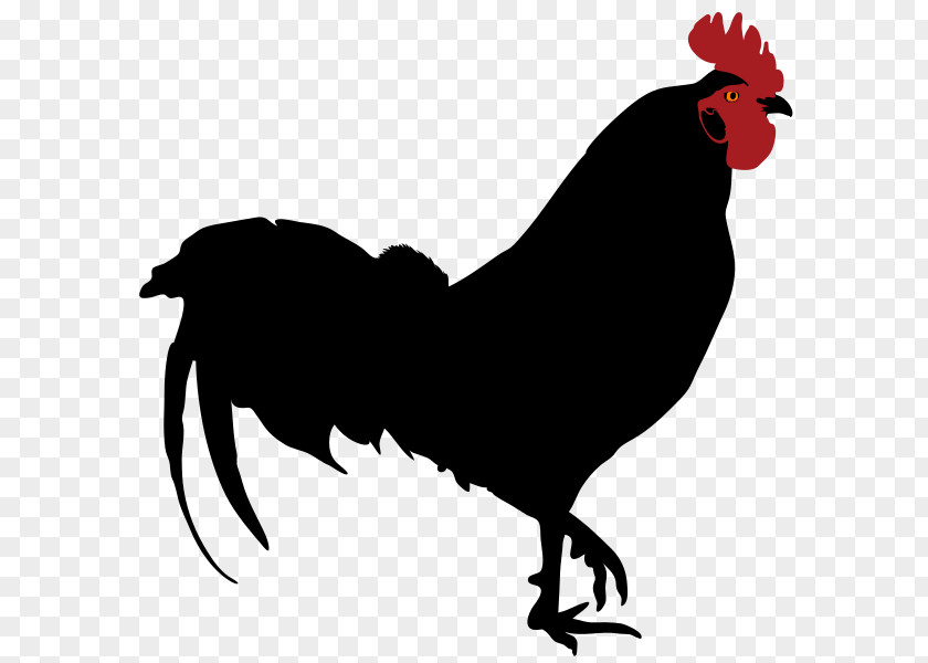 Rooster Wordart Silhouette Drawing Clip Art PNG