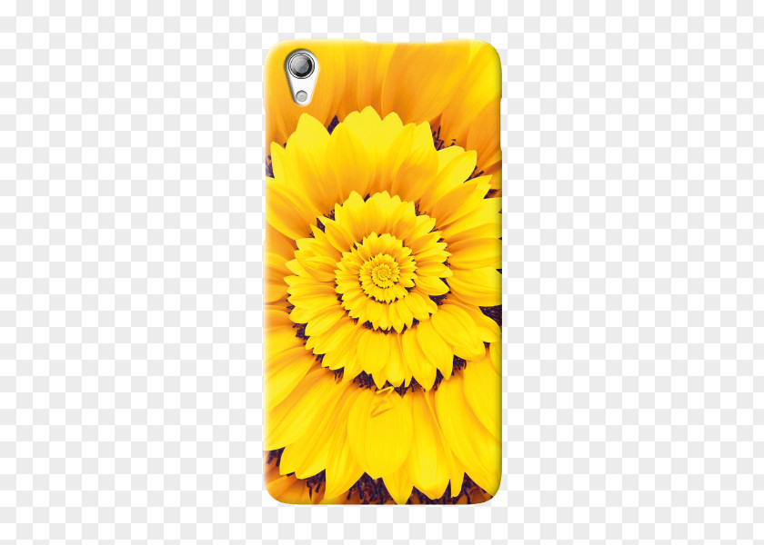 Transparent Cover Transvaal Daisy Sunflower M Mobile Phone Accessories Marigolds Phones PNG