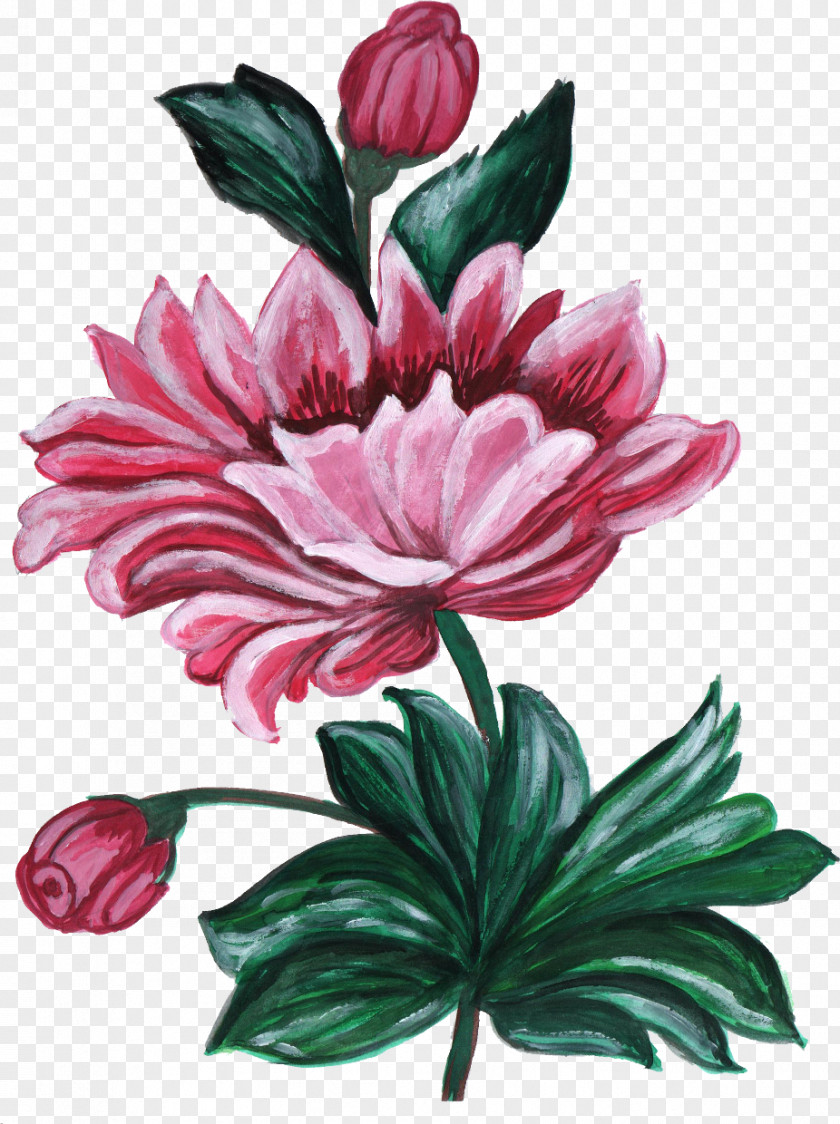 Volume 137 Floral Design Ornament Flower PNG