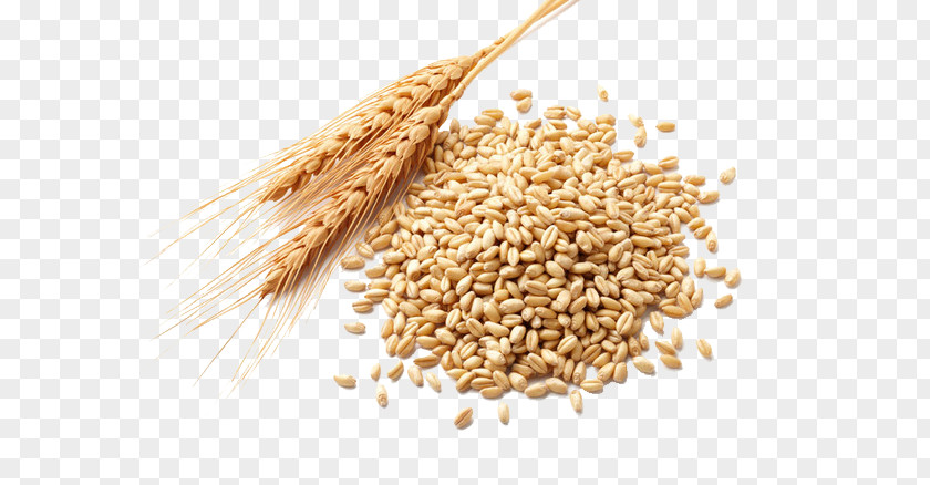 Wheat Germ Oil Atta Flour Cereal Berry PNG
