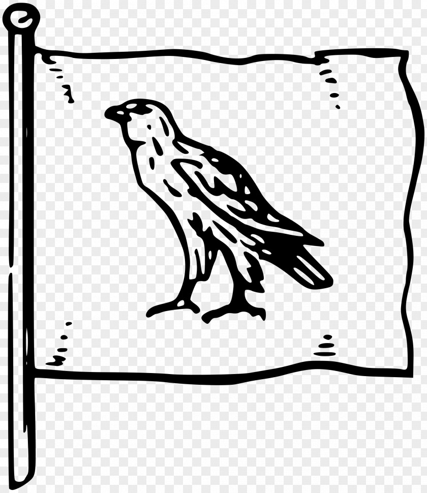 Bird Black And White Drawing Line Art Clip PNG