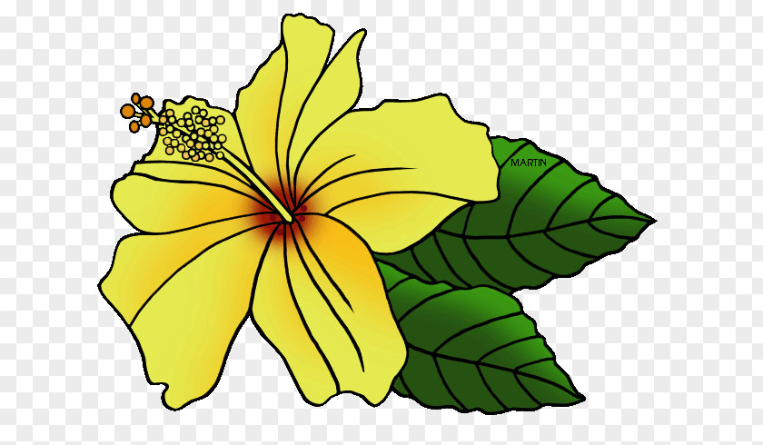 Hawaiian Hibiscus State Flower Clip Art PNG