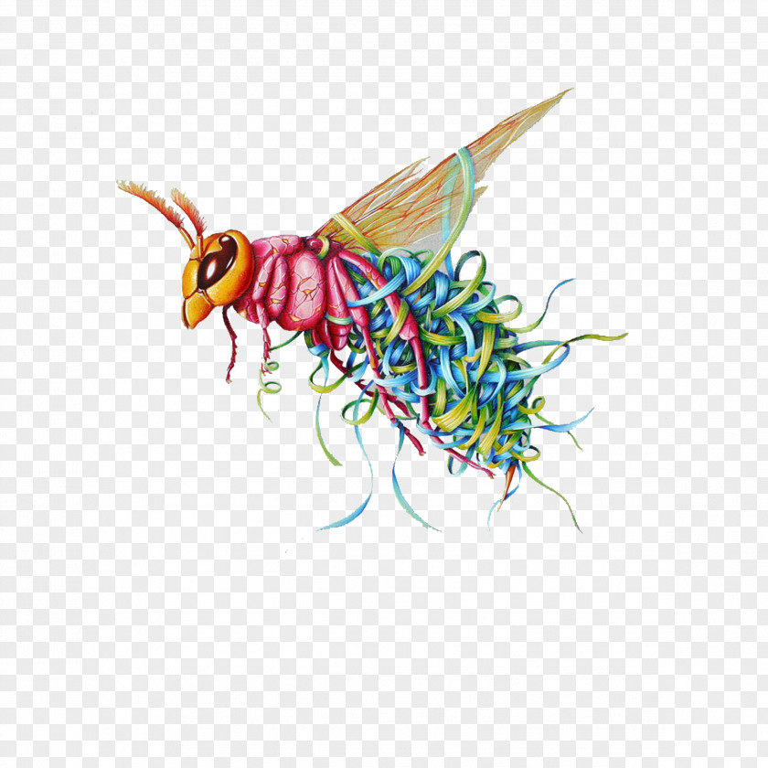 Insect Locust PNG