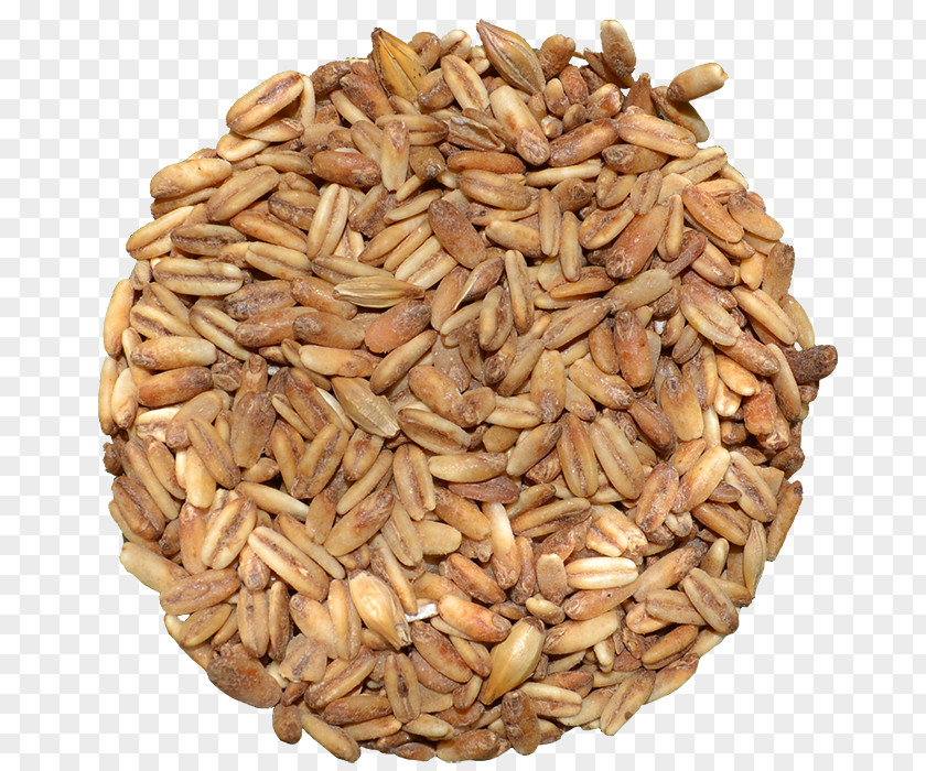 Oat Vegetarian Cuisine Emmer Spelt Sprouted Wheat PNG