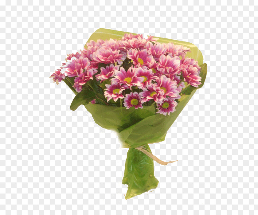 Peony Cut Flowers Flowerpot Vase PNG