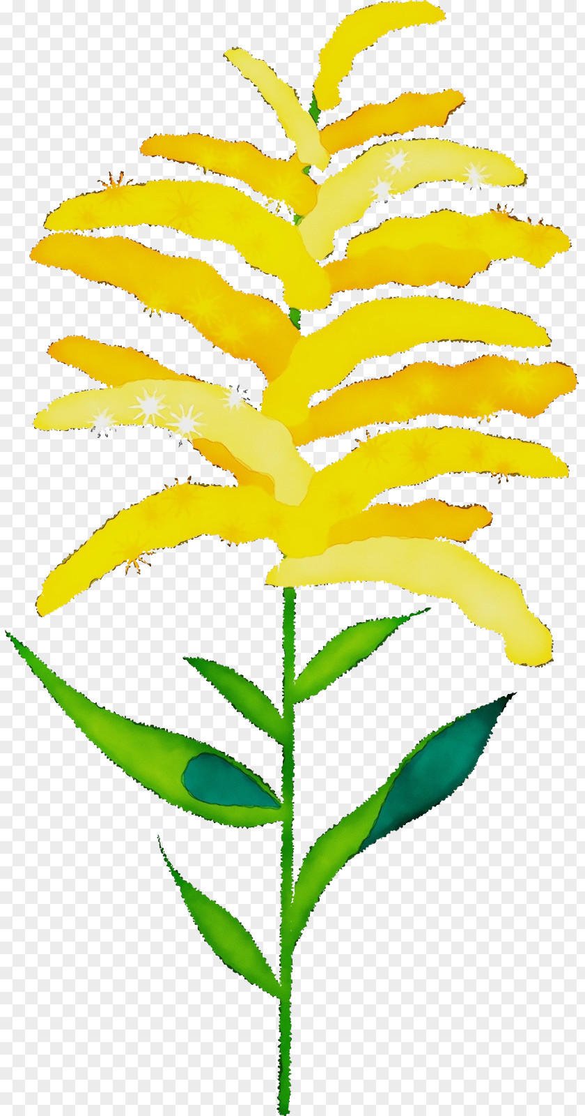 Plant Stem Branch Leaf Flower Yellow PNG