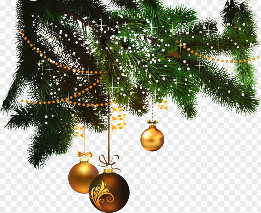 American Larch Christmas Lights Cartoon PNG