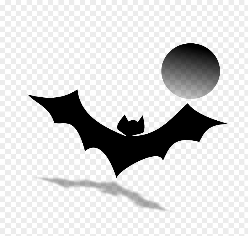Bat Poster Design Logo Wall PNG
