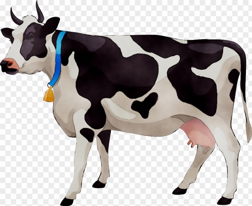 Cattle Vector Graphics Stock Photography Clip Art Illustration PNG