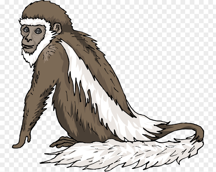 Pictures Of Monkeys In Trees Chimpanzee Monkey Primate Clip Art PNG