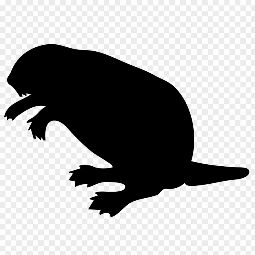 Silhouettes Vector Beaver Clip Art PNG