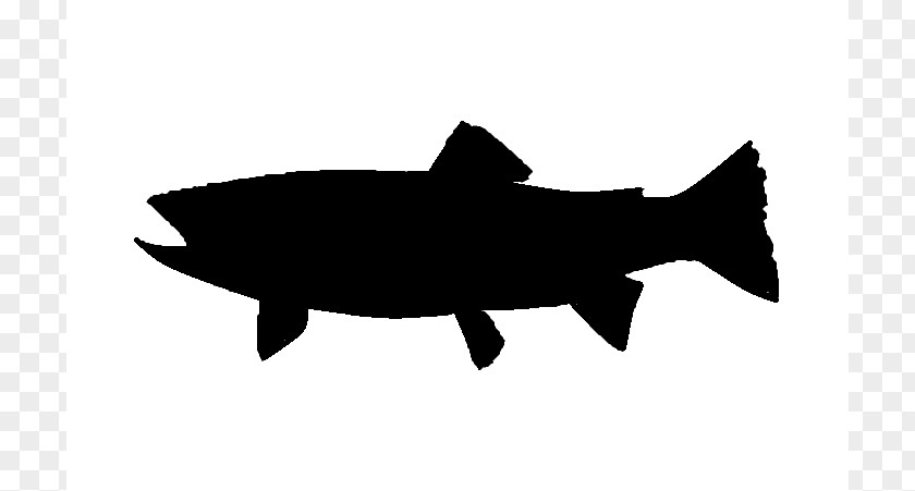 Steelhead Cliparts Trout Silhouette Salmon Clip Art PNG