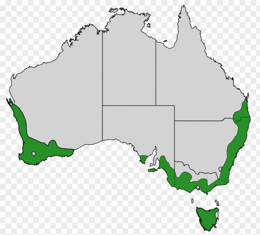 United States World Map Western Australia Australian Marriage Law Postal Survey PNG
