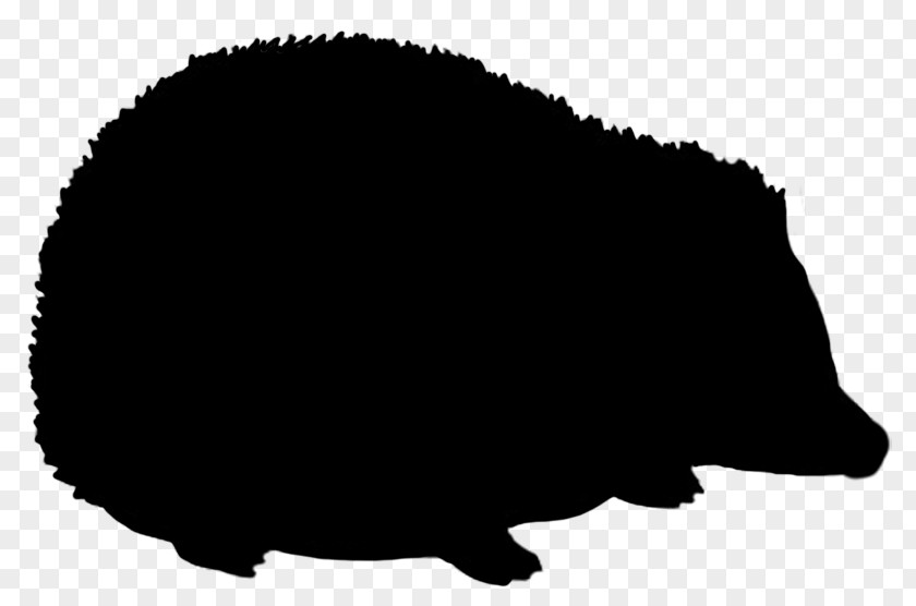 Black And White Hedgehog Silhouette Clip Art PNG