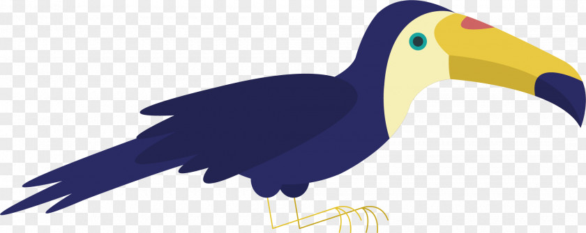 Cartoon Parrot Vector Bird Toucan Wildlife PNG