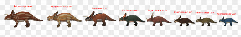 Dinosaur Triceratops Torosaurus Chasmosaurus Horned Dinosaurs Styracosaurus PNG