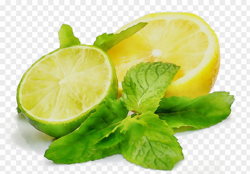 Lemon-lime Drink Key Lime Food Fruit PNG