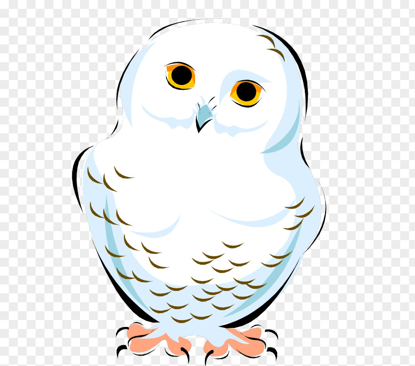 Owl Snowy Clip Art Image Vector Graphics PNG