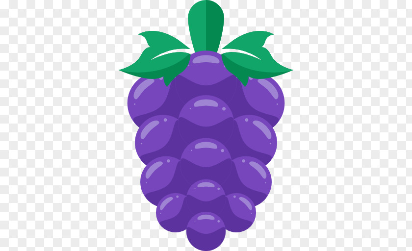 Bunch Of Grapes Kyoho Wine Berry Grape PNG
