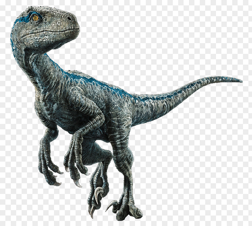 Dinosaur Velociraptor/Velociraptor Owen Indominus Rex PNG