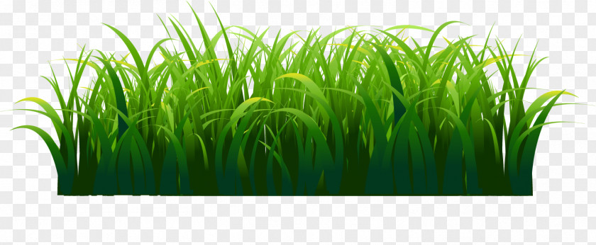 Hand Painted Green Grass Watercolor Painting PNG