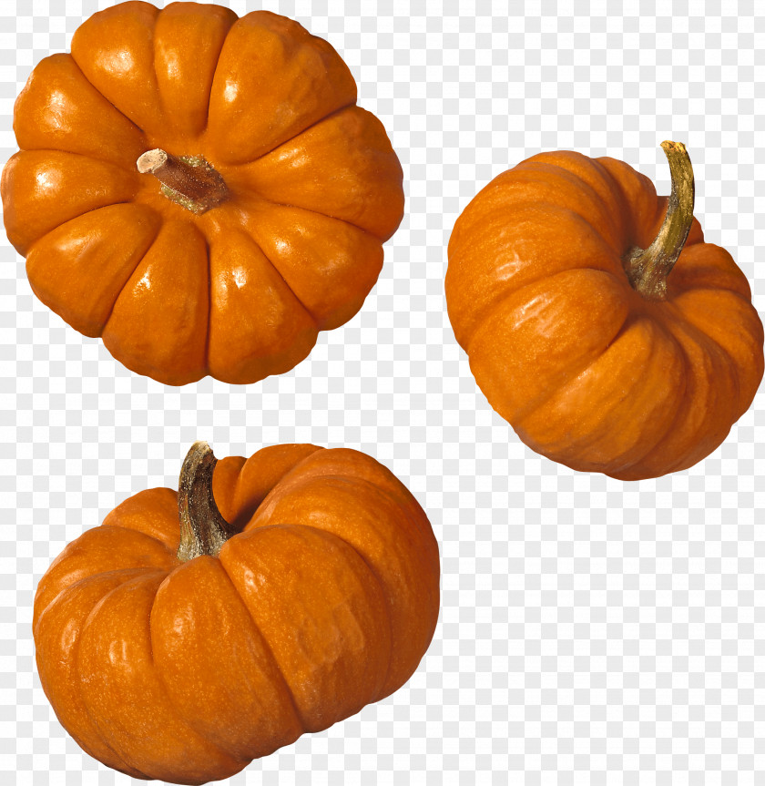 Pumpkin Pie New Hampshire Festival Seed PNG