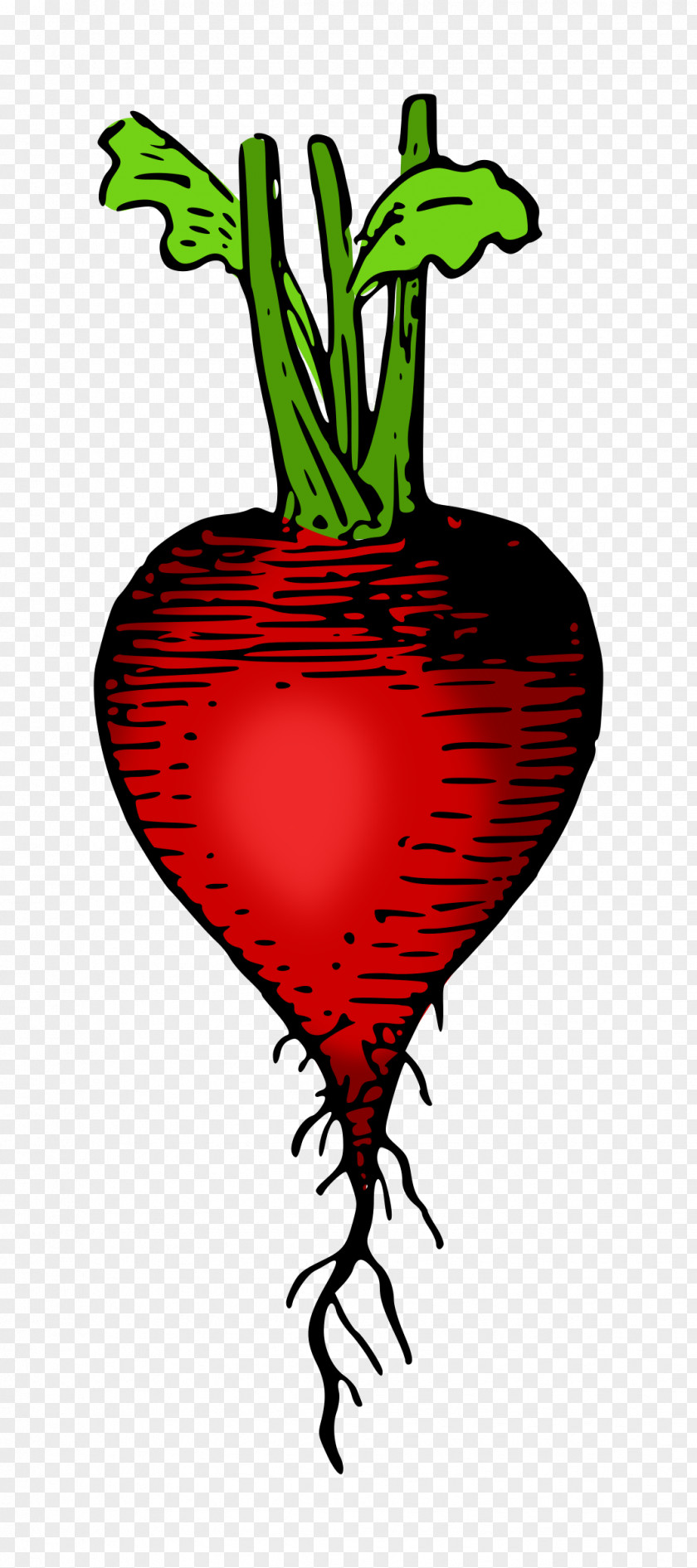 Radish Vegetable Food Clip Art PNG