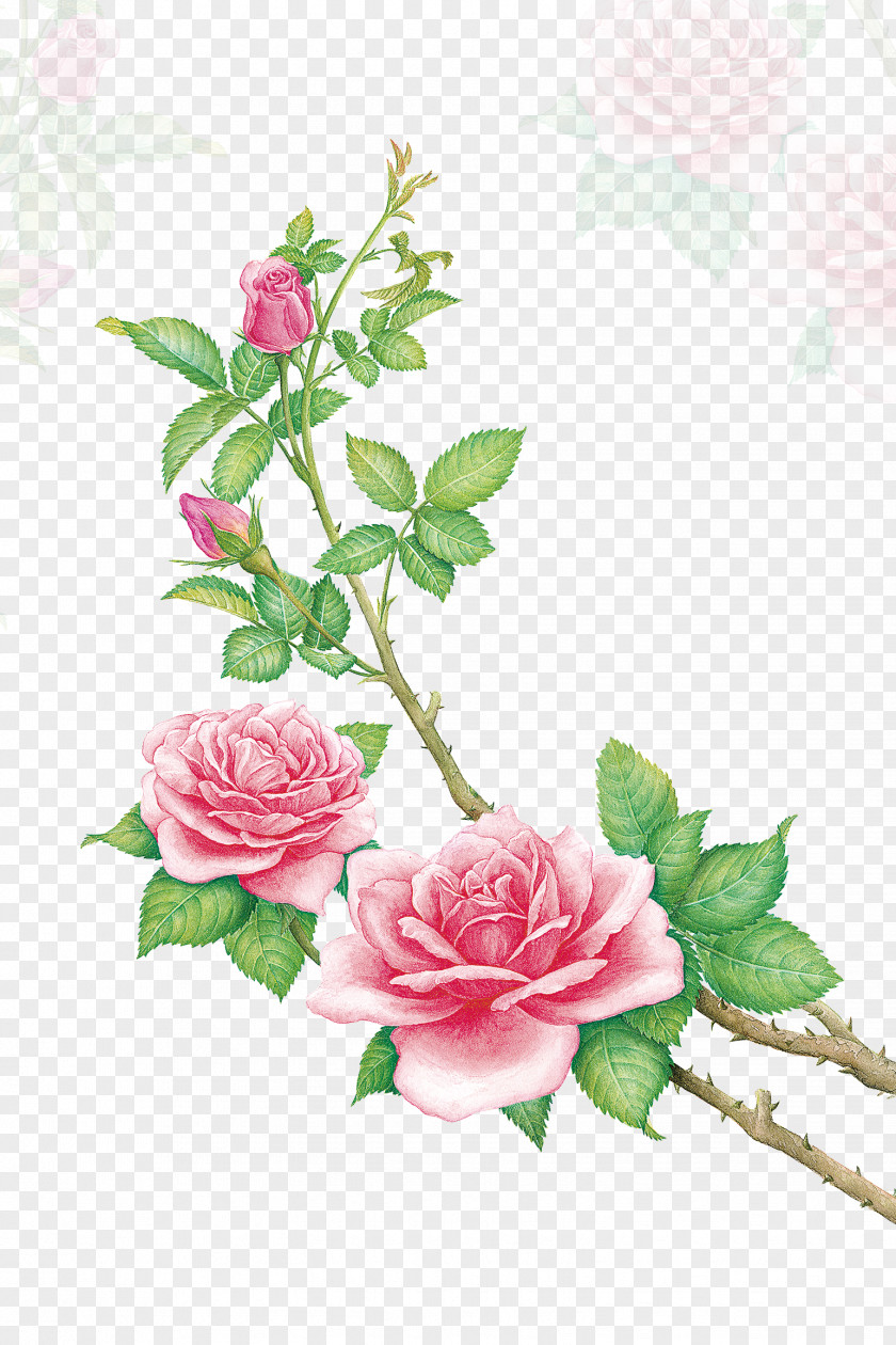 Rose Hand Painted Beach Skin Dew Make-up PNG
