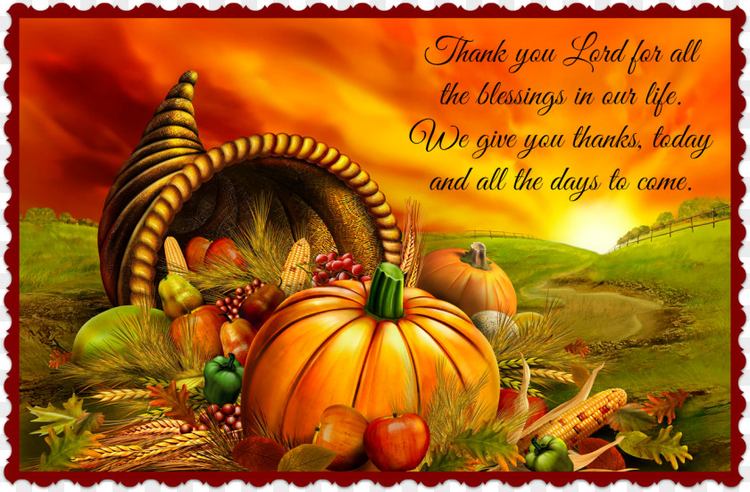 Thanks Giving Catching Fire Mockingjay Peeta Mellark The Hunger Games Torgenson Law PNG