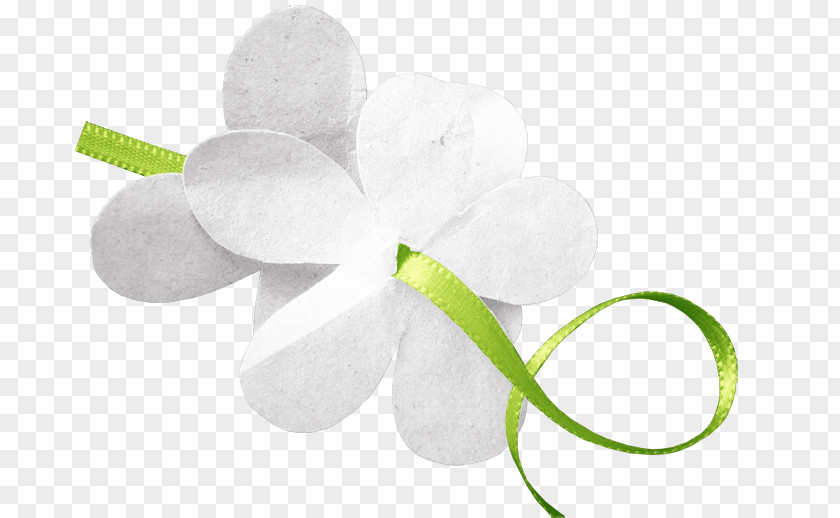 Design Petal Cut Flowers PNG