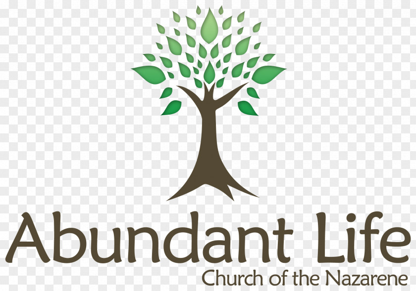 Abundant Accounting Pte Ltd Life Presentation Microsoft PowerPoint Information PNG