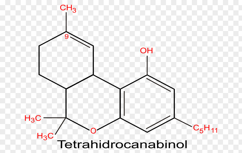Cannabis Tetrahydrocannabinol Cannabinoid Cannabidiol Sativa PNG