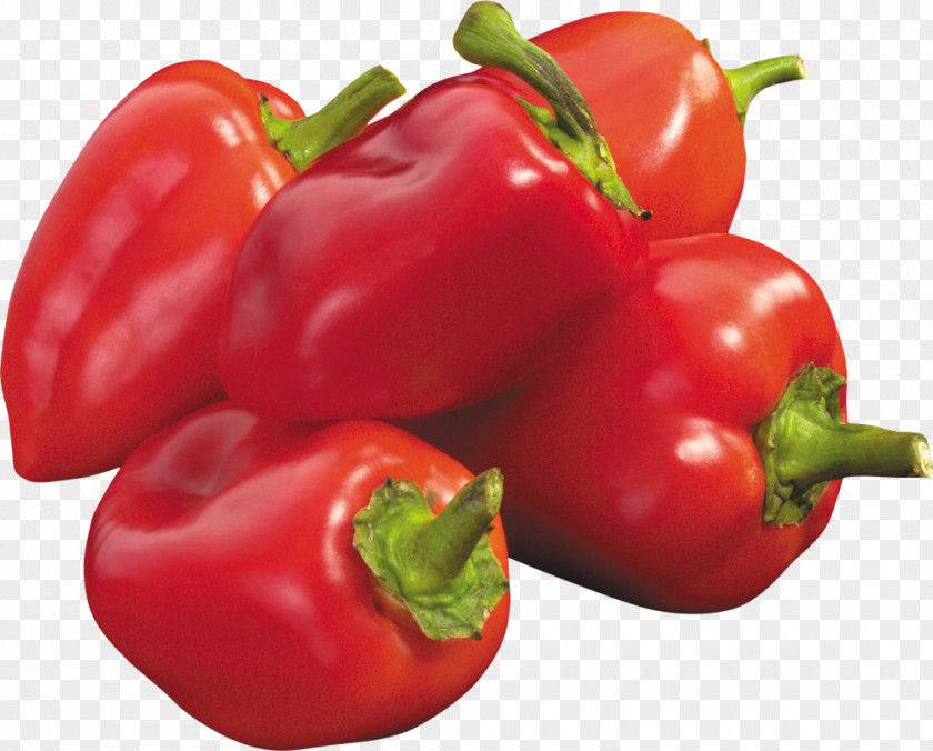 Chili Bell Pepper Piquillo Vegetable PNG