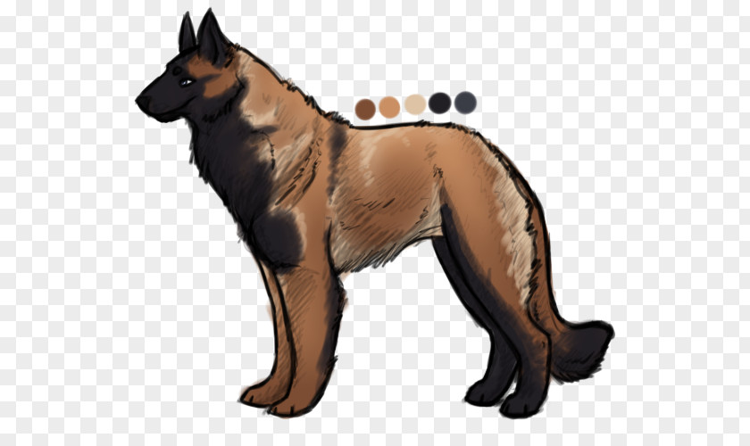 Puppies For Sale Dog Breed German Shepherd Tervuren Kunming Wolfdog PNG