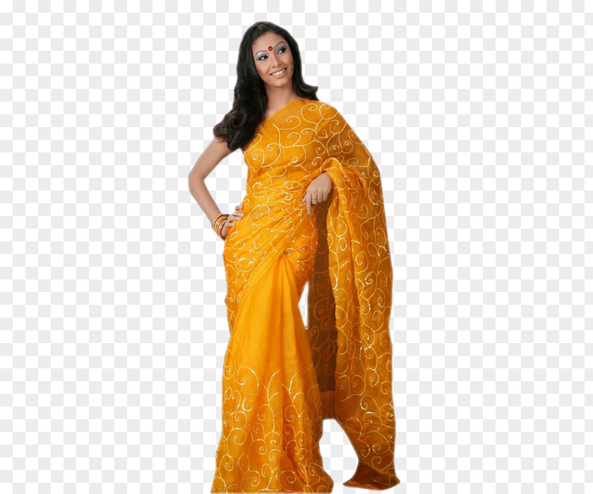 Silk Sari Shoulder PNG