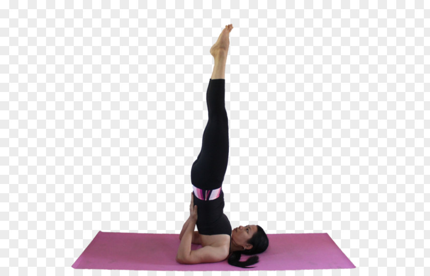 Yoga Pilates Sarvangasana Halasana PNG