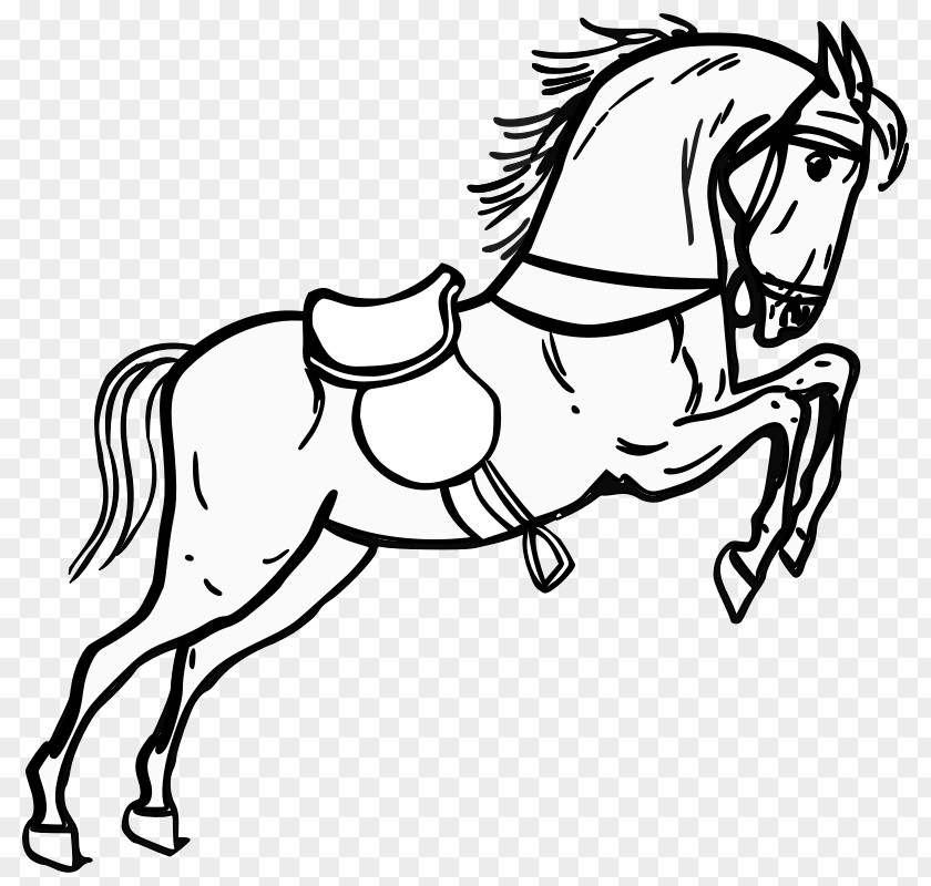 Graduation Cap Drawings Tennessee Walking Horse Equestrian Jumping Clip Art PNG