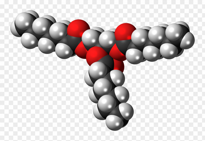 Hydrogen Triglyceride Space-filling Model Stearin Fatty Acid Glycerol PNG
