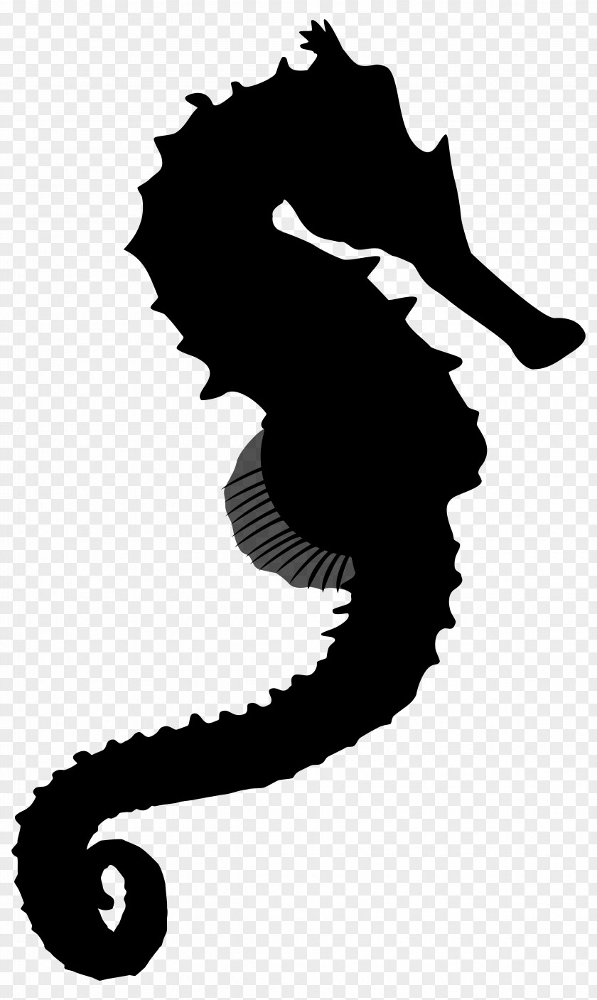M Character Clip Art Silhouette Seahorse Black & White PNG