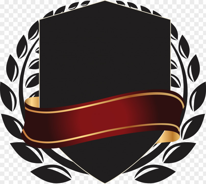 Shield Computer File PNG