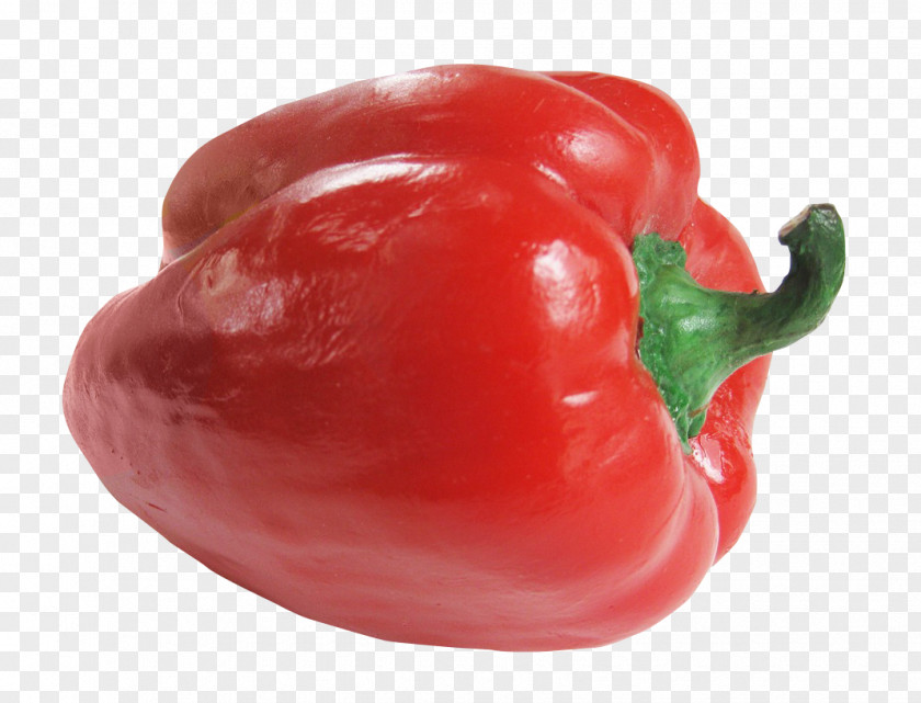 Bell Pepper Red Habanero Piquillo Cayenne PNG