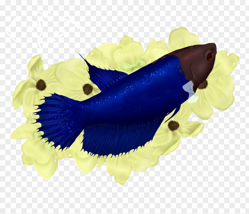 Betta Marine Mammal Biology Cobalt Blue Electric Organism PNG