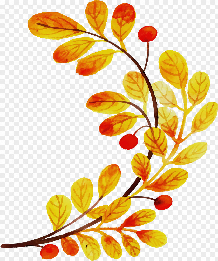 Floral Design PNG